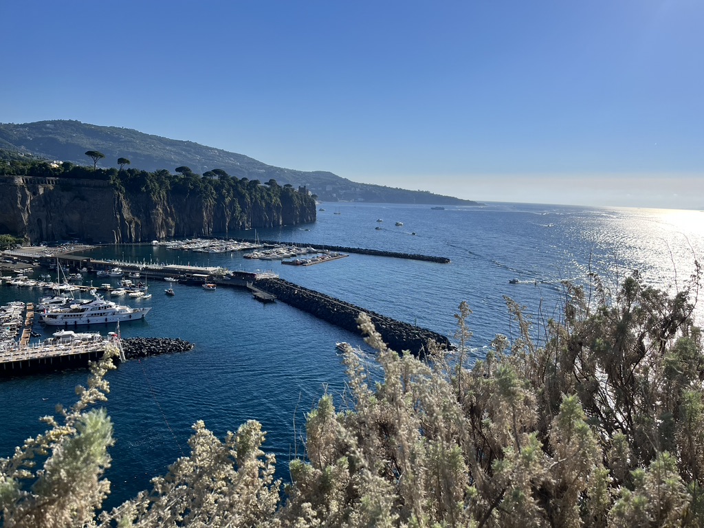 Dr Christina Wilkins tweet media