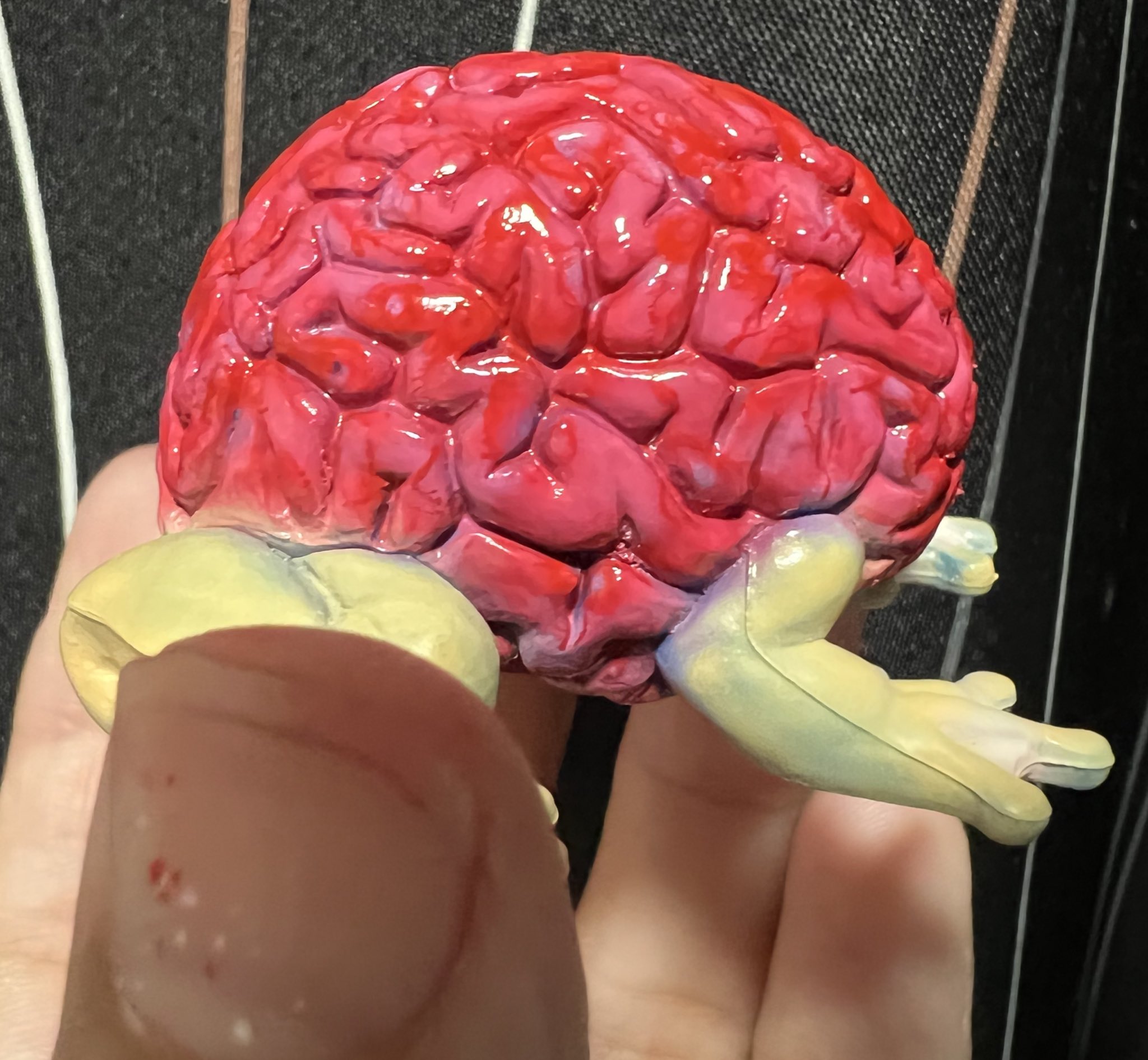 超目玉！ BRAIN ジャンピングブレイン 脳みそカエル アメトイ JUMPING