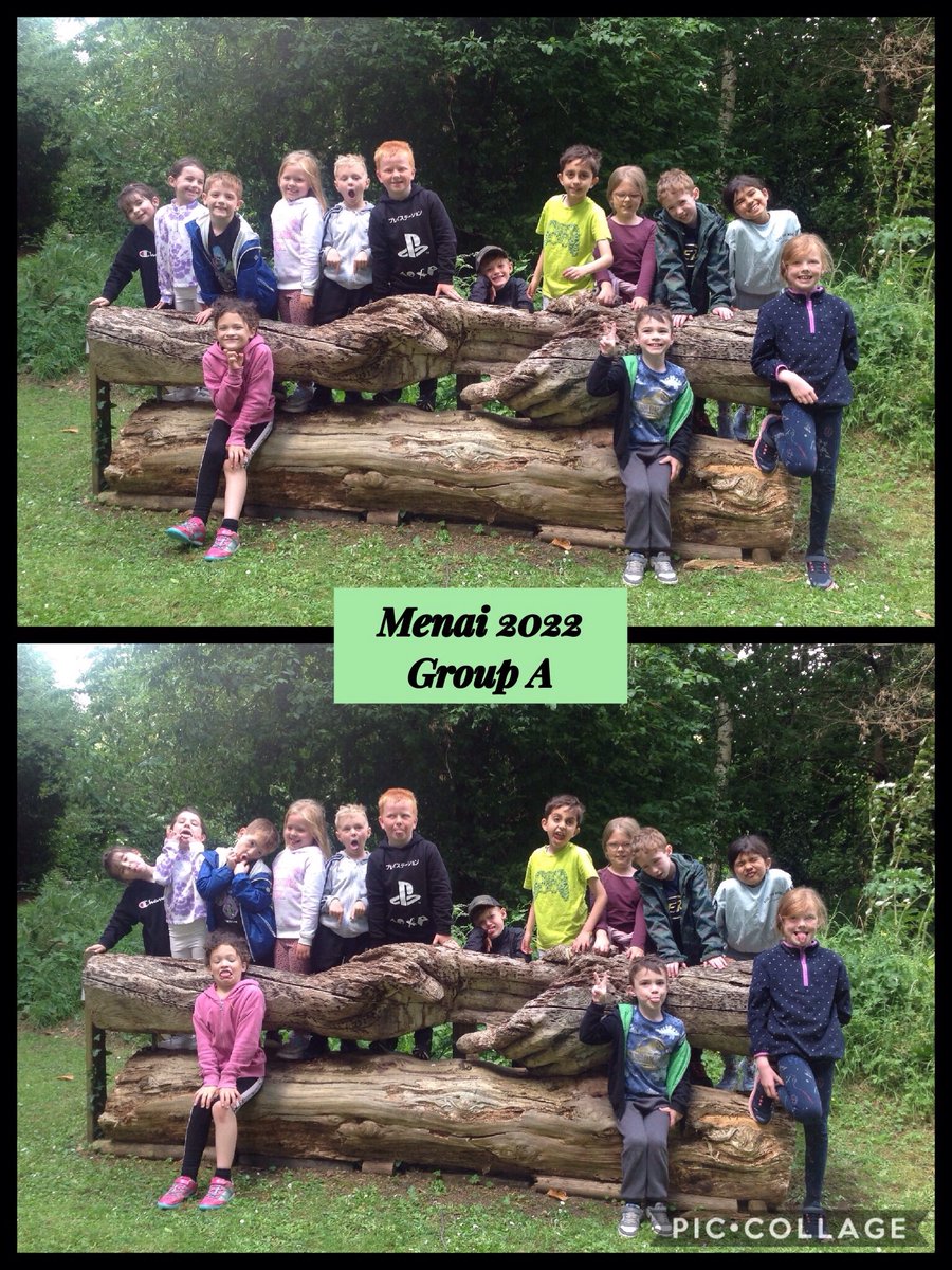 Group A, Menai 2022.  Courageous, daring and resilient!