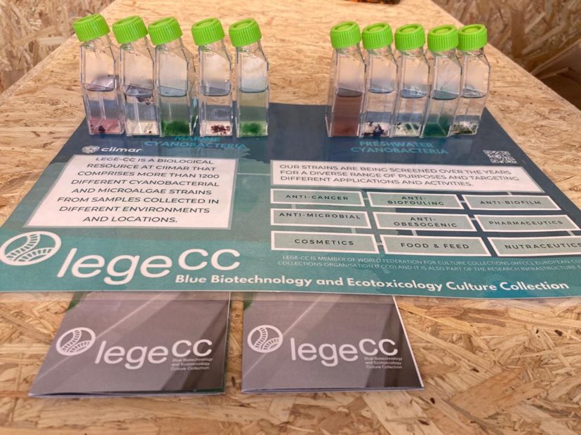 CiimarUp's tweet photo. We are already present at the #UNOceanConference2022 #onesustainableocean #event by @forumoceano representing #CIMAR_LA and @EMBRC_EU! 🥰
#CIIMARevents #CIIMARresearch #forumoceano #ocean #sustainable #lisbon #mar #sea https://t.co/fWcS4okSeP