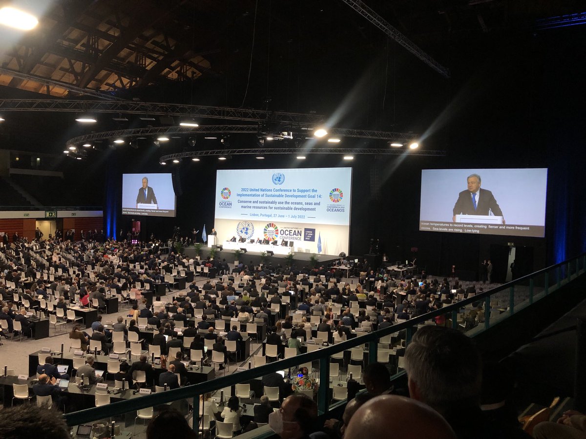 Antonio Guterres inleder FNs Havskonferens - och en vecka med havet och hållbarhet i fokus. #SDG14 #UNOceanConference