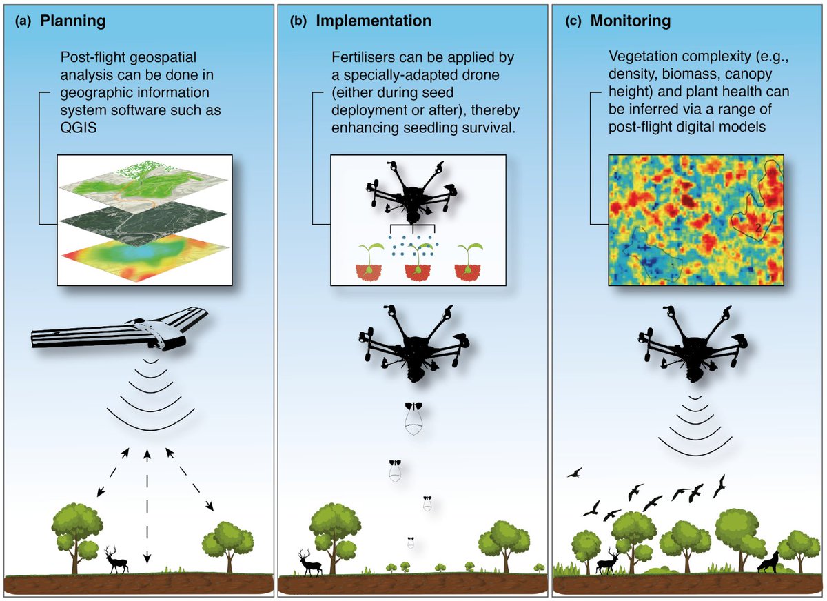 Technology has contributed to ecosystem degradation but can it now be used to help nature heal? 

Check our paper on existing &amp; emerging uses of #drones in restoration ecology: 
besjournals.onlinelibrary.wiley.com/doi/epdf/10.11… <a href="/MethodsEcolEvol/">Methods in Ecology and Evolution</a>
w/<a href="/_PAHarrison/">PeterAHarrison</a> <a href="/suze/">Suzanne Mavoa</a> <a href="/_MBreed/">Martin Breed</a> 

#GenerationRestoration 🌳🦠🐨