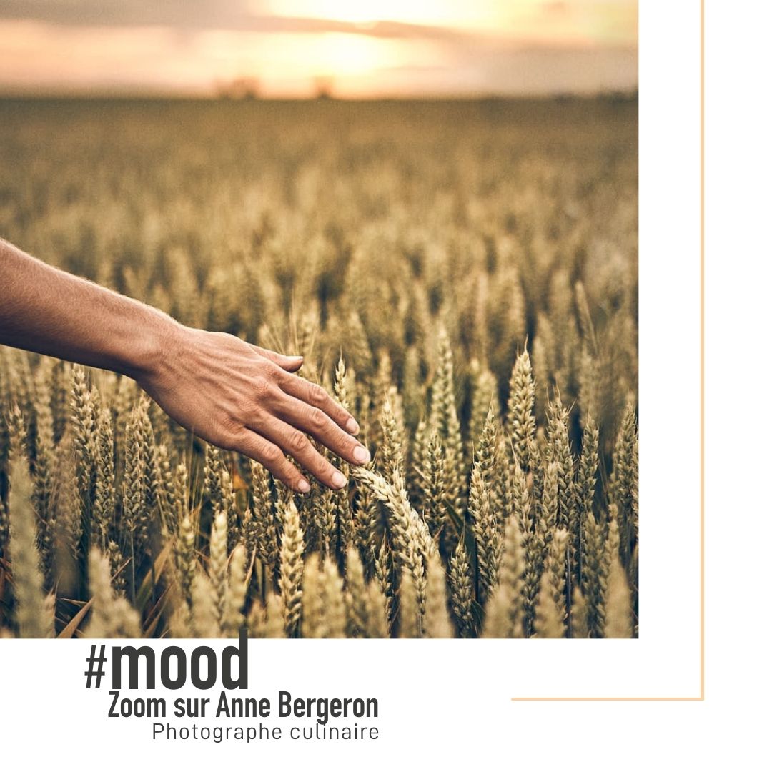 Clair de Lune (@clairdelunefab) on Twitter photo #MOOD - 📷 Aujourd'hui, on avait envie de vous présenter Anne Bergeron 😊 Elle nous a accompagné sur plusieurs projets, notamment :
➡️ « La Table des Chefs » de <a href="/GrignanlesAdhem/">Grignan-les-Adhémar</a>
➡️ Côtes de Bourg x Côtes de Boeuf de <a href="/cotesdebourg/">cotesdebourg</a>
➡️ Shooting culinaire de Crozes-Hermitage #MOOD - 📷 Aujourd'hui, on avait envie de vous présenter Anne Bergeron 😊 Elle nous a accompagné sur plusieurs projets, notamment :
➡️ « La Table des Chefs » de <a href="/GrignanlesAdhem/">Grignan-les-Adhémar</a>
➡️ Côtes de Bourg x Côtes de Boeuf de <a href="/cotesdebourg/">cotesdebourg</a>
➡️ Shooting culinaire de Crozes-Hermitage
