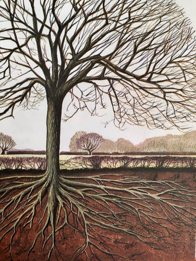 Pictures that explain things. 'Roots of a tree spread as far below ground as the branches do above' #DavidPalmer