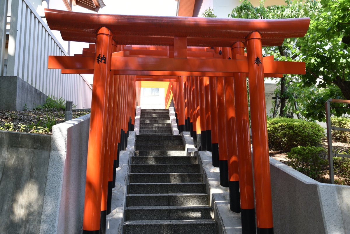 HASHforPro1's tweet photo. 神鳥前川神社です。
由来の石碑に近在一の壮厳なる御社殿とありました。
ちなみに近郷近在とは、近い場所にある村。または、大きな町に近い村という意味だそうです。
稲荷神社が隣にあり、みんな大好き赤鳥居もありました。
#WITH_HASH
#コロナ対策
#除菌消臭
#HASHforPro
#次亜塩素酸水
#緩衝法 https://t.co/D7UeQ0CrzZ