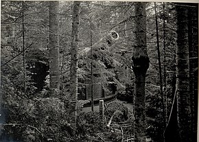 Ars_Bellica_'s tweet photo. #AccaddeOggi :La battaglia degli #Altipiani si svolse dal 15 maggio al #27giugno 1916 durante la #WWI(tra Veneto e Trentino)tra l'esercito austroungarico di Franz Conrad von Hötzendorf e il Regio esercito italiano di Luigi Cadorna.L'offensiva austriaca(Strafexpedition)fu respinta https://t.co/WjSipiU7My