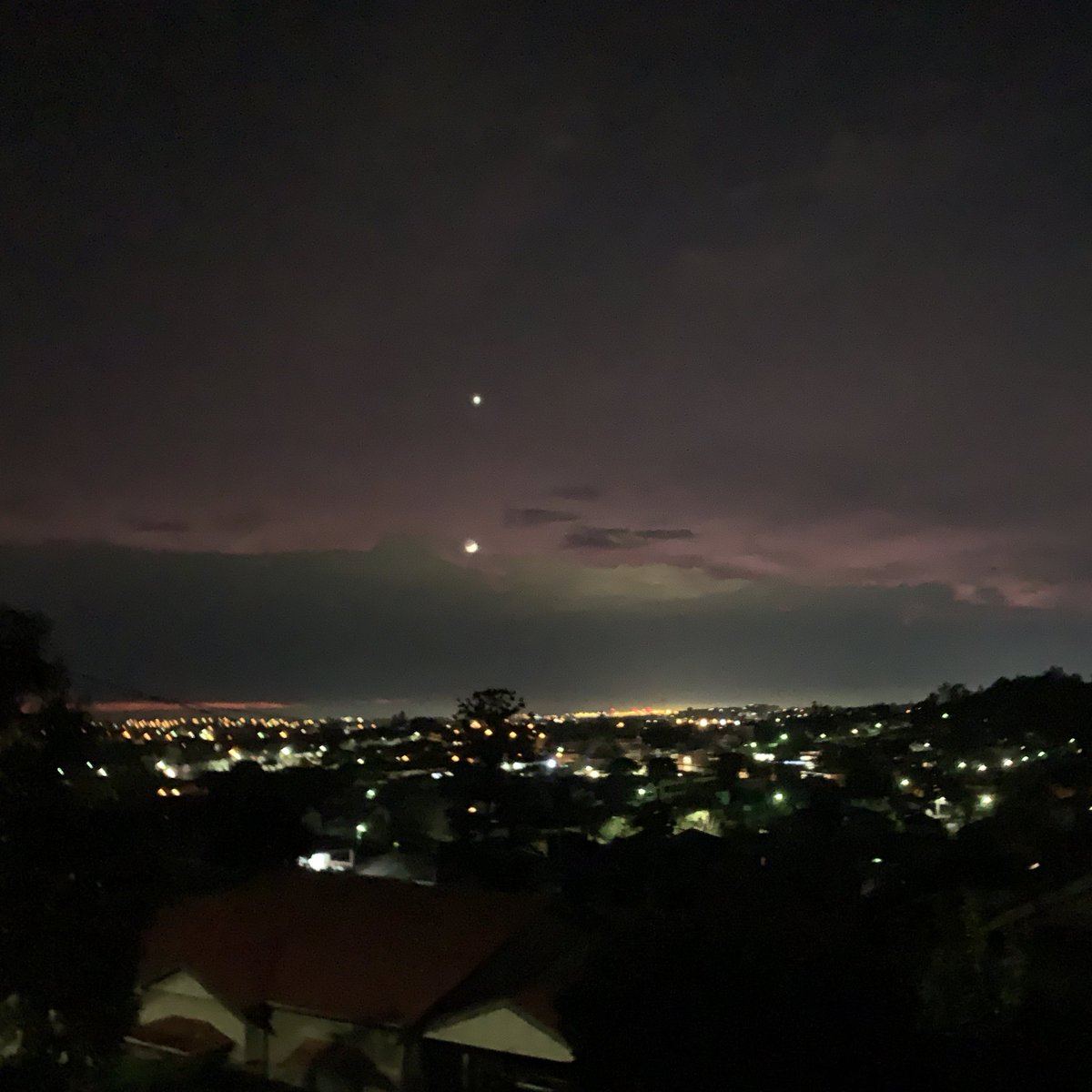 Pre-dawn stroll with my little mate. Beautiful Brisbane winter mornings!