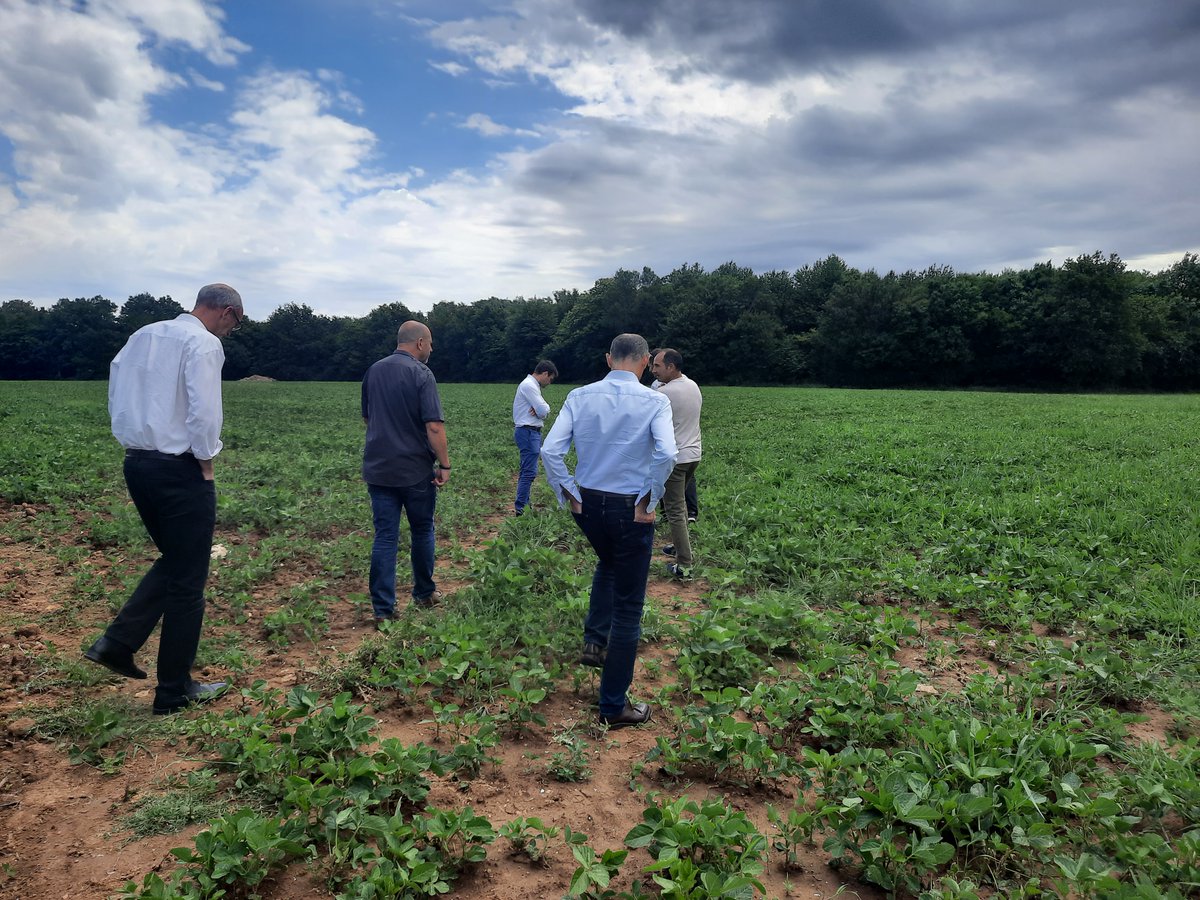 GroupeIsidore's tweet image. Le @GroupeIsidore vient de signer la lettre d&apos;engagement validant le démarrage d&apos;une nouvelle filière soja pour préserver la qualité de la ressource en eau 🌿

En 2022, la filière est opérationnelle et couvre 70 ha chez une quinzaine de producteurs

#agriculture #negoceagricole