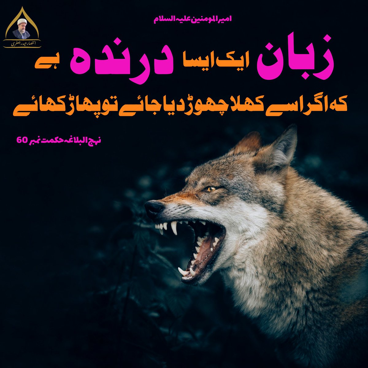 IntisarMir's tweet photo. قَالَ عَلِیٌّ عَلَیْهِ السَّلَامُ
اَللِّسَانُ سَبُعٌ، اِنْ خُلِّیَ عَنْهُ عَقَرَ. https://t.co/RDsT7q2zAZ