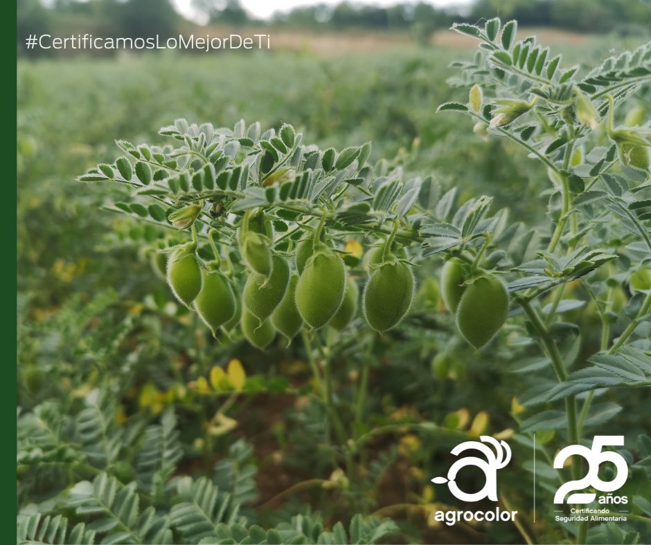 Agrocolor tweet picture