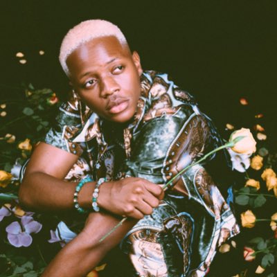 drimopapi tweet media