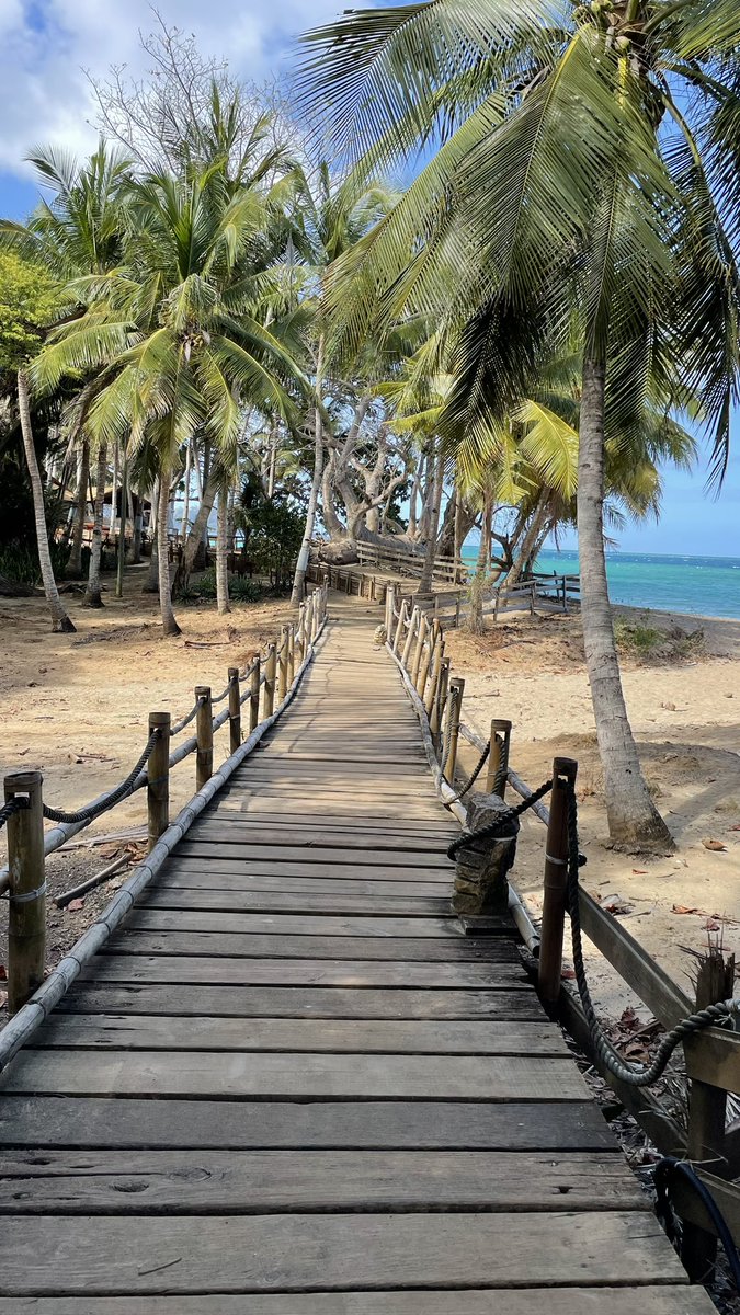 twobottles1cap's tweet photo. 📍Plage de Ngouja https://t.co/da0yZLdjcE