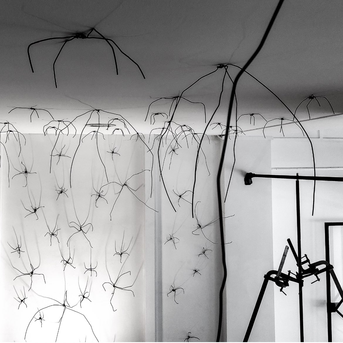#MilanoToday oggi inaugura la residenza di #carlodellacqua da <a href="/nonriservato/">Non Riservato</a> Partendo dal presupposto che le residenze indaghino il territorio mappando luoghi reali e non, Carlo Dell’Acqua, sia nei contenuti sonori che in quelli visivi, ha cercato la città.#audiocitymap