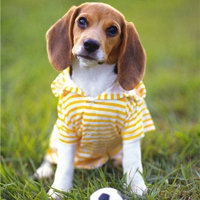 🤖👽Bebe Mile🐻🐰 tweet media