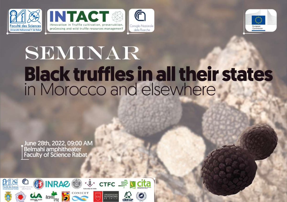 IntactProgetto's tweet image. @um5rabat  organises a seminar on Black truffle for tomorrow, Tuesday, June the 28th at 9.00 AM on Belmani amphitheatre, Faculty of Science Rabat #H2020 #Intactproject
