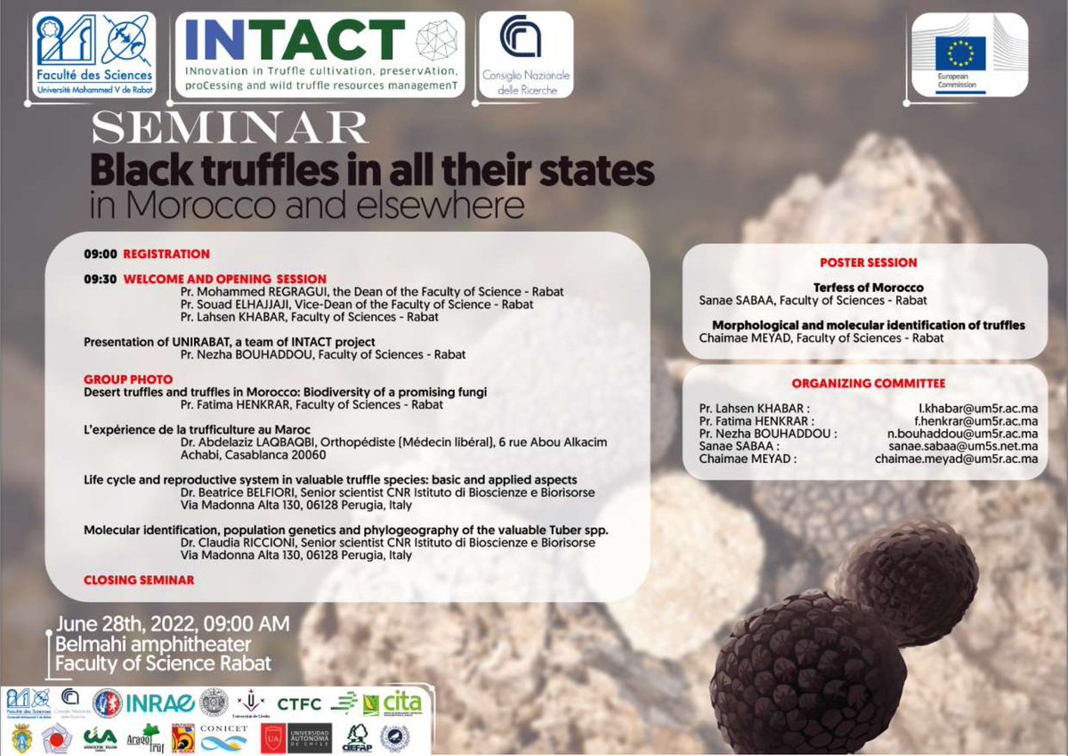 IntactProgetto's tweet image. @um5rabat  organises a seminar on Black truffle for tomorrow, Tuesday, June the 28th at 9.00 AM on Belmani amphitheatre, Faculty of Science Rabat #H2020 #Intactproject