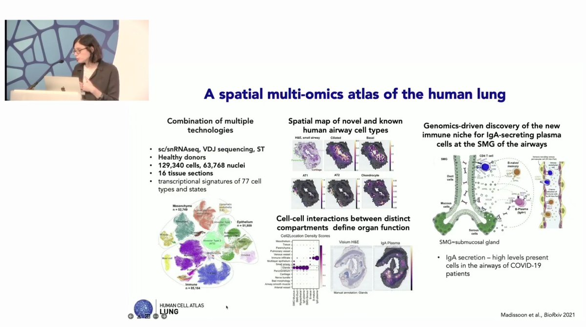 MC_Nawijn's tweet photo. The #HumanLungCellAtlas being presented as a true flagship project at the opening of the #HCA2022GM in Vienna - proud to have been able to contribute to this! Next steps will be discussed in the breakout by @pbarbry @humancellatlas @cziscience @discovAIR_HCA @GriacG @HorizonEU https://t.co/WQXy5IX1qz