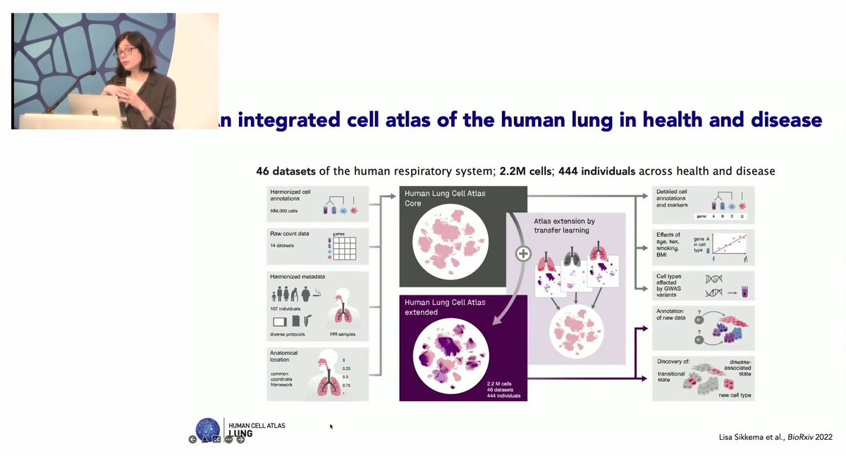 MC_Nawijn's tweet photo. The #HumanLungCellAtlas being presented as a true flagship project at the opening of the #HCA2022GM in Vienna - proud to have been able to contribute to this! Next steps will be discussed in the breakout by @pbarbry @humancellatlas @cziscience @discovAIR_HCA @GriacG @HorizonEU https://t.co/WQXy5IX1qz