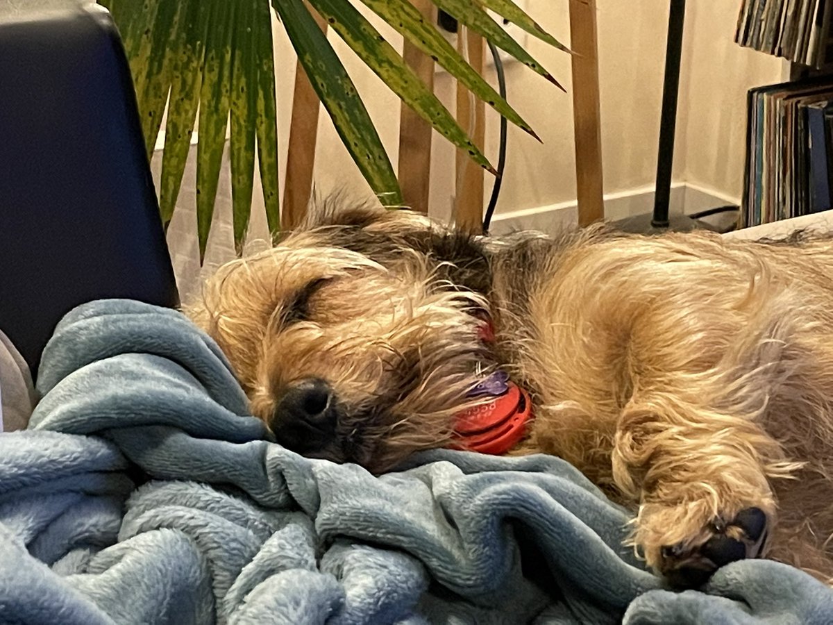 Phil Dyer tweet media