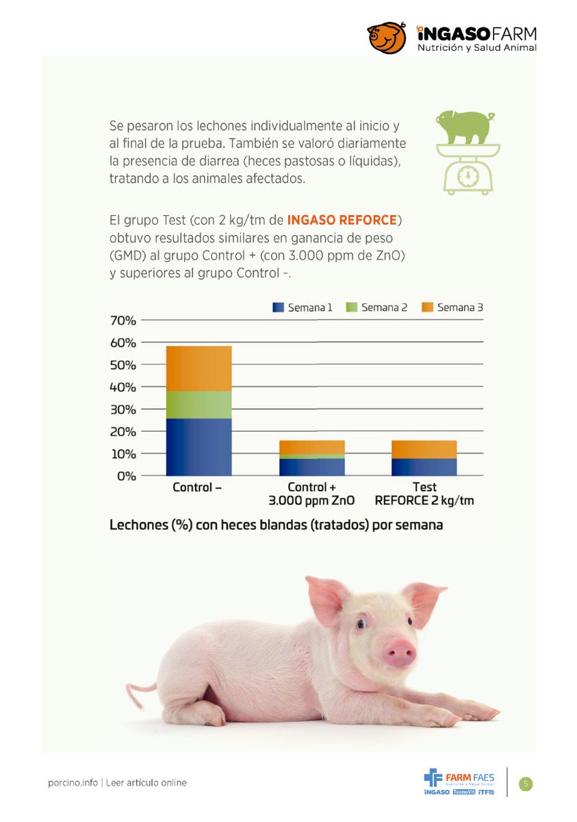 FARMFAES's tweet photo. ⚠️La prohibición del uso del óxido de zinc ya es un hecho. ✔️El presente de desmedicalizar implica lograr una #producción #sostenible, #rentable y #segura. #IngasoFarm tiene la alternativa eficaz al uso de ZnO en piensos post-destete: #IngasoREFORCE. 📲 https://t.co/luef7UxXpr https://t.co/irYw2gk3LM