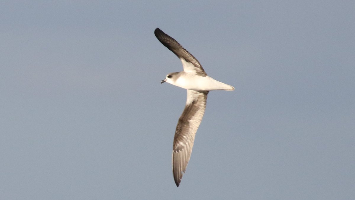 Marcus Nash tweet media