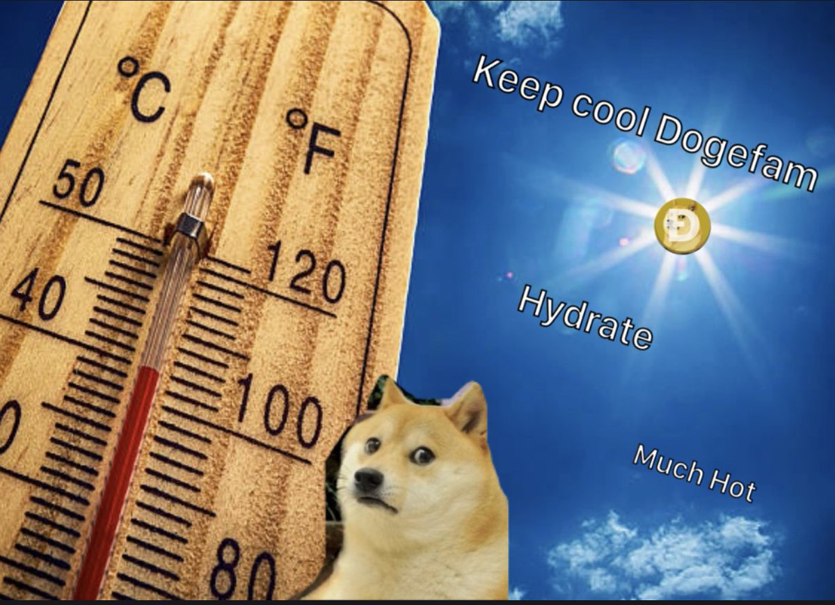 Crypto__Ashley's tweet photo. #dogedaysofsummer #dogecoin #doge #DoOnlyGoodEveryday 🔥🔥🚀🚀🚀🚀 https://t.co/Zh5aEnPCzM