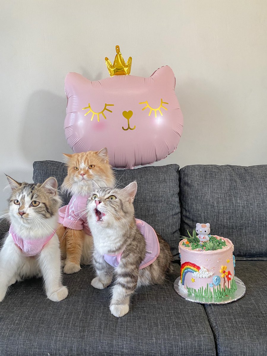 gimbulie's tweet photo. Happy 1st birthday, Ruby! https://t.co/1a92sxxEjL