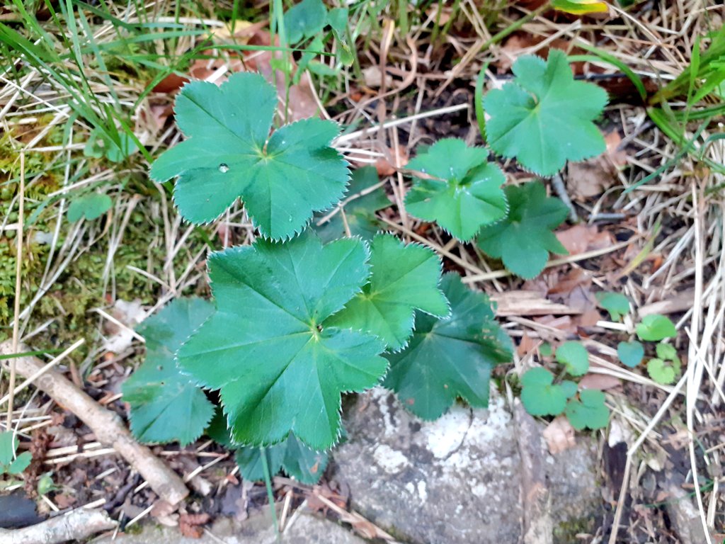 Nowhere Else tweet media