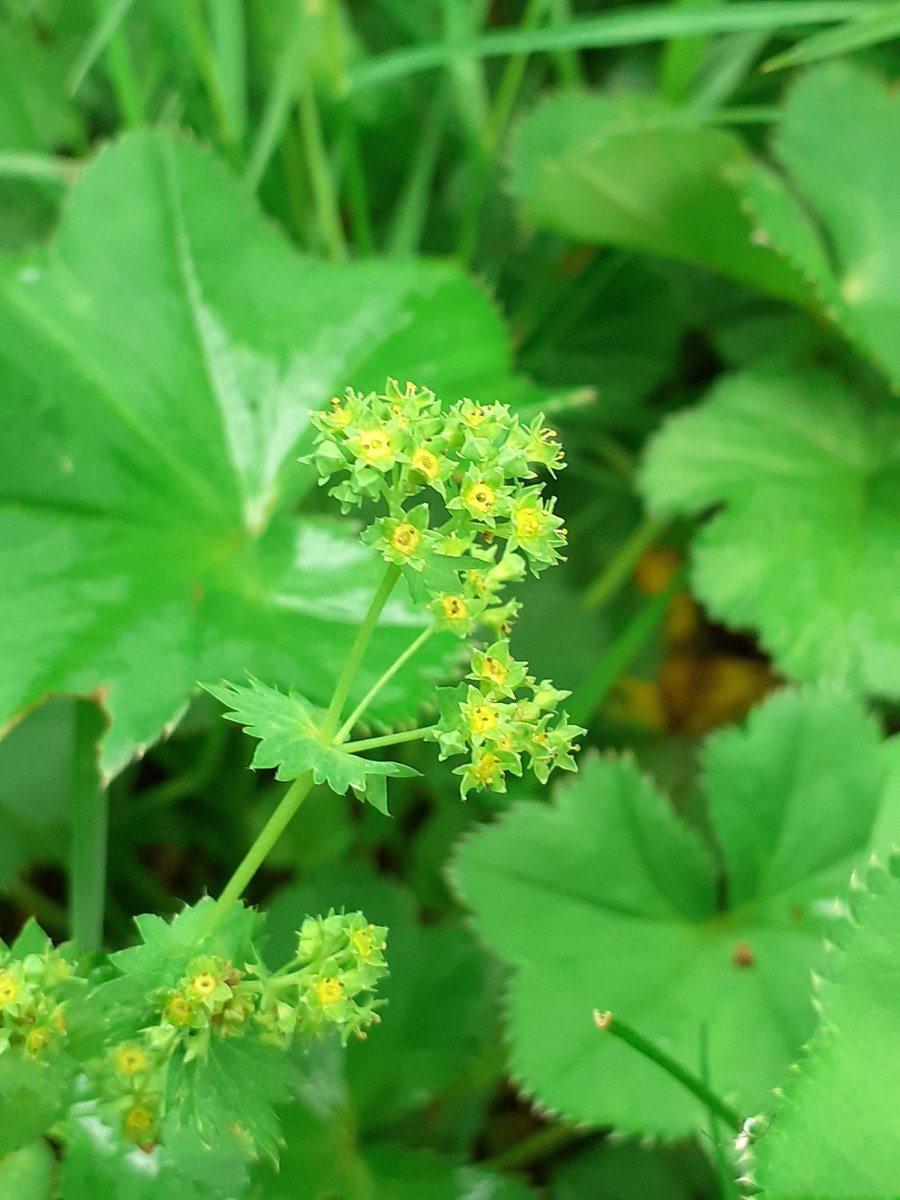 Nowhere Else tweet media