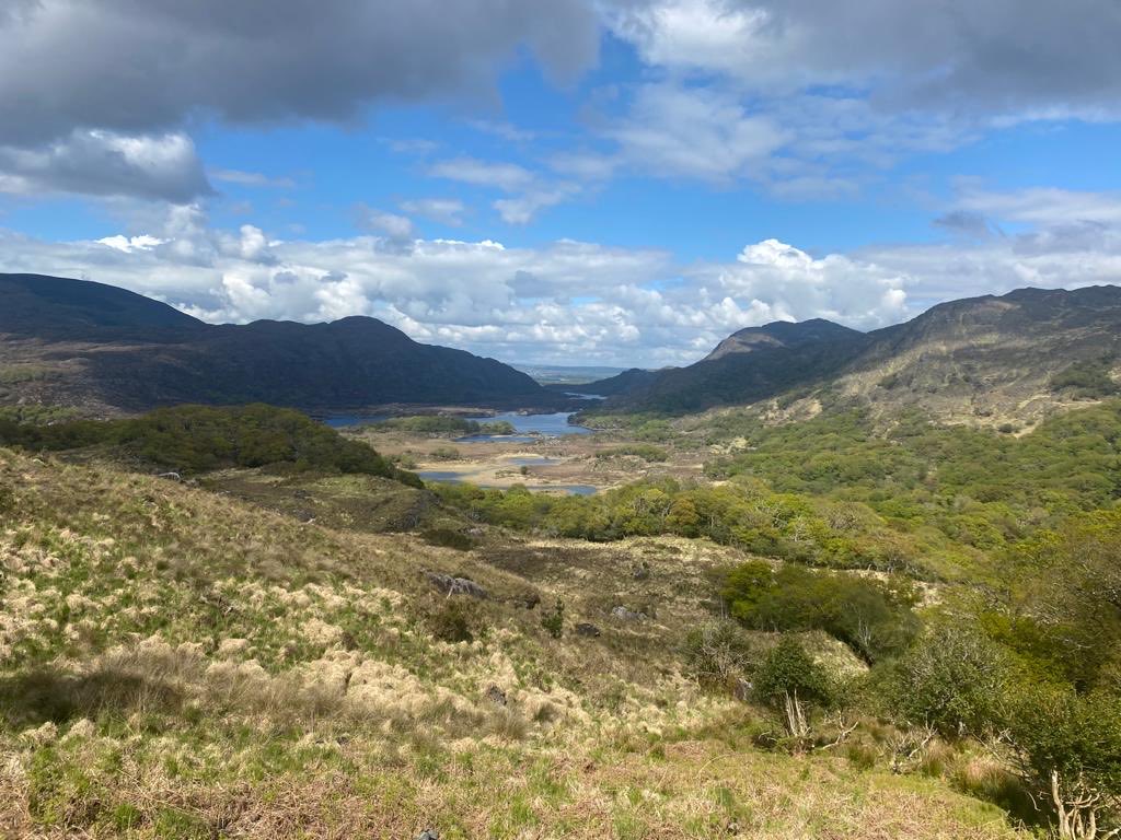 Wildwood vinegars all available for ordering, any requirements please dm me or email husseyveg@gmail.com ⁦<a href="/irish_writing/">The Irish Food Writing Awards🇺🇦🇵🇸</a>⁩ ⁦<a href="/DrummondHGarlic/">DrummondHouse Garlic</a>⁩ ⁦<a href="/paulofdub/">Paul O'Connor</a>⁩ ⁦<a href="/DeirdreGiblin1/">Dr Deirdre Giblin</a>⁩ ⁦<a href="/PaulineLogan/">Pauline Logan</a>⁩ 🇮🇪🇮🇪🇮🇪🇮🇪🇮🇪