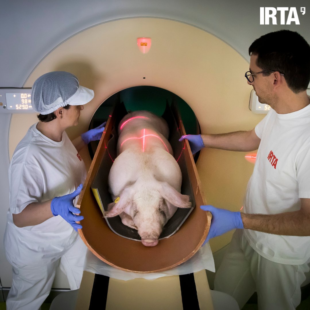 irtacat's tweet photo. 👉 L'IRTA disposa d'un TAC mòbil al servei de les empreses i dels centres de recerca i universitats.

🧵 Segueix https://t.co/HjFF0h0JZI