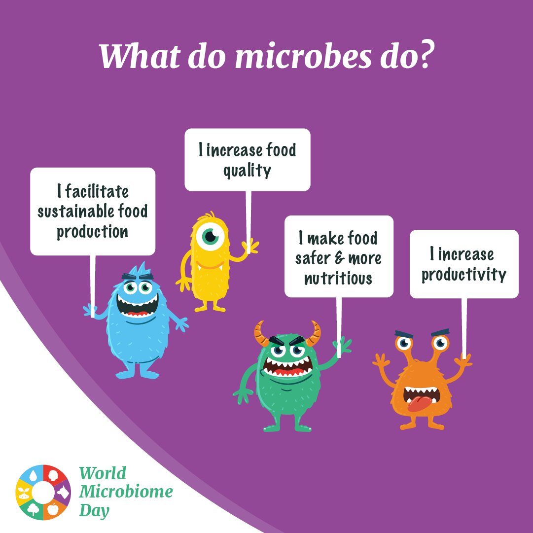 EUFIC's tweet photo. 🦠#Microorganisms often get a bad reputation, but they’re an essential part of life &amp; the #foodsystem.

Microbial communities play a key role in food safety &amp; security but are also vital to food waste decomposition &amp; recycling processes once we learn how to manage them well. 🗑️♻️ https://t.co/bOuPPkskX9