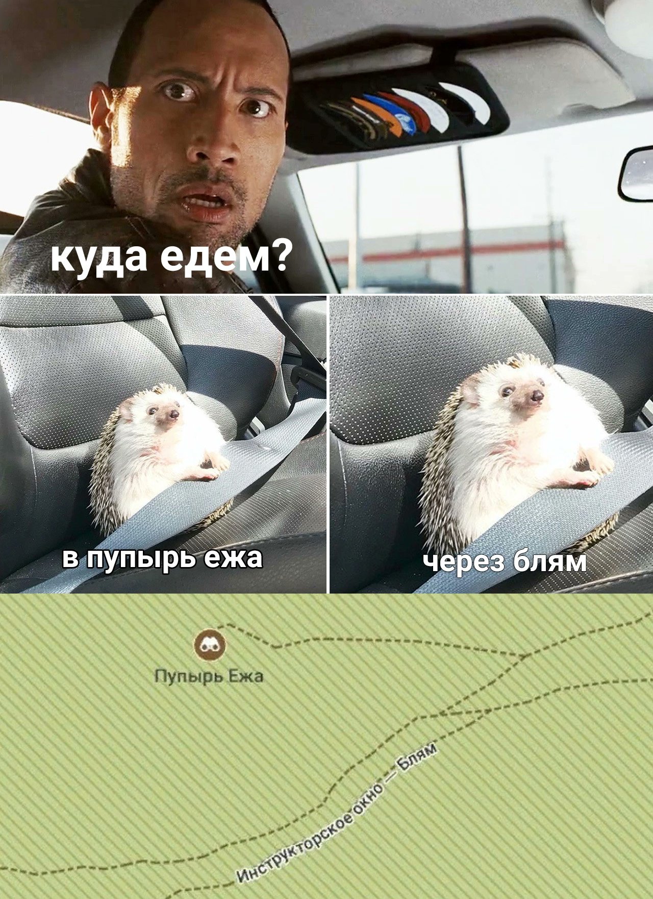 Пупырь ежа Мем