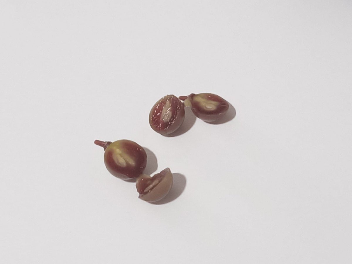 Emilio X. Glz. Lemos tweet media