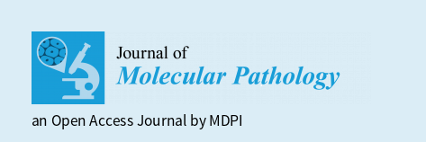 JMP_MDPI's tweet photo. 📢Good news! From today to 31 October 2022, all submissions (once accepted after peer review) to JMP (https://t.co/8T0jIKIm6Y) will be published #free of charge

👉To take advantage of this opportunity, please submit before the deadline

@JMP_MDPI #JMP #FreePapers https://t.co/Qbvh3kov7d