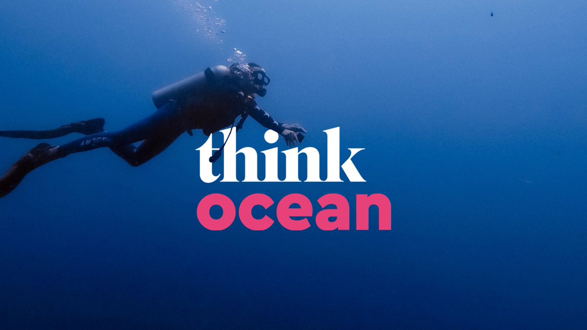 OceanCTrust photo