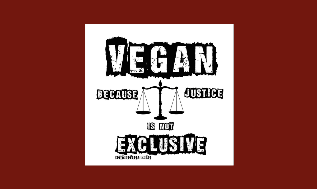 Trish R - Faint Signals from Vega 🇵🇸 tweet media