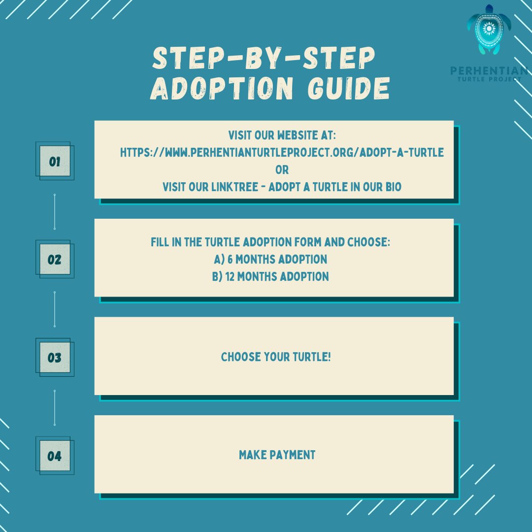 PTP_MY's tweet photo. We’re up to 31% of our goal, but we’ve got a long way to go still! If you know anyone who may be interested in adopting a turtle, do spread this post around 🫶🏻

P/s: Koningin went from 0 to 9 adopters real quick 📈😅. https://t.co/eX0AmKz65e
