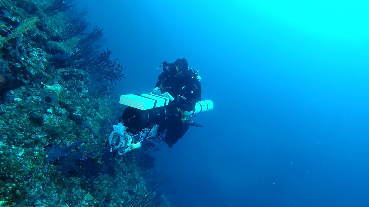 Filtering #eDNA in #mesophotic reefs of <a href="/ParcCalanques/">Parc national des Calanques</a> 

A potential refugia against heatwaves in the Mediterranean Sea?

<a href="/RegisHocde/">Hocde</a> head of the diving team at 70m deep operating our new filtering system for huge water volume close to the reef

<a href="/umrMARBEC/">Marbec</a> 
<a href="/SPYGEN_Lab/">SPYGEN</a>