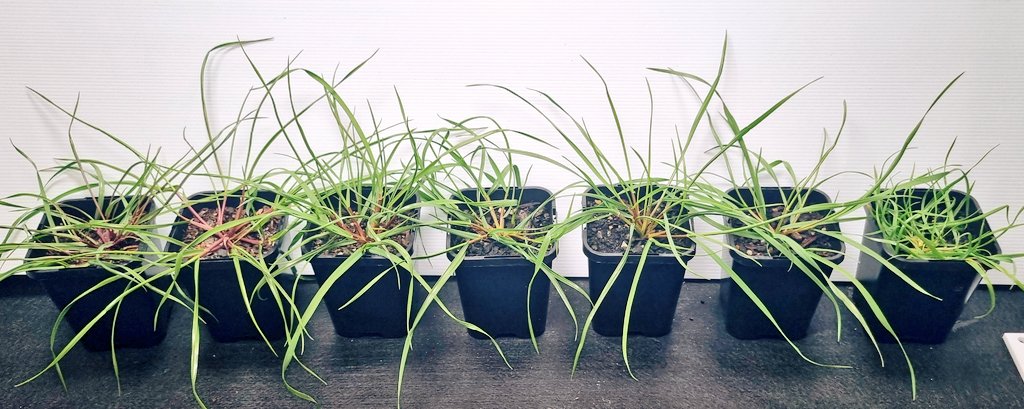 Guy Coleman tweet media