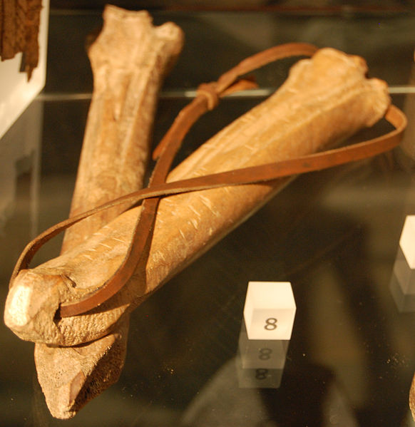 ALJordan_writer's tweet photo. Medieval ice skates were often made of animal bones. In the 12th century, William FitzStephen described Londoners 'fitting to their feet the shinbones of cattle' to skate on frozen water
#historyfacts #iceskating #medieval #medievalfacts https://t.co/boF3EhkPYj