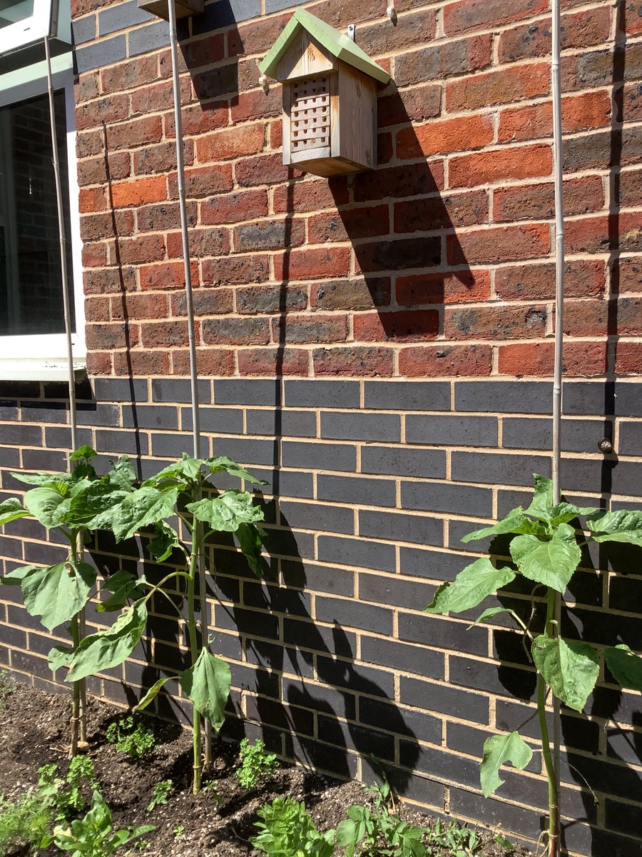 Worthing High Geo tweet media