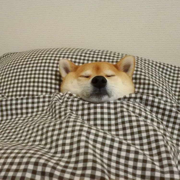 Hi frens~
Does anyone know where my weekend is? Why monday comes so fast and it is busy already???🥲
Btw, have a great week 😜 love yall💖

#NFT #NFTs #NFTCommunity #WomenInNFTs #OpenSeaNFT #nftcollector #NFTartists #NarcyDog #NarcyDog_Steve #narciostudio #Loveyourself