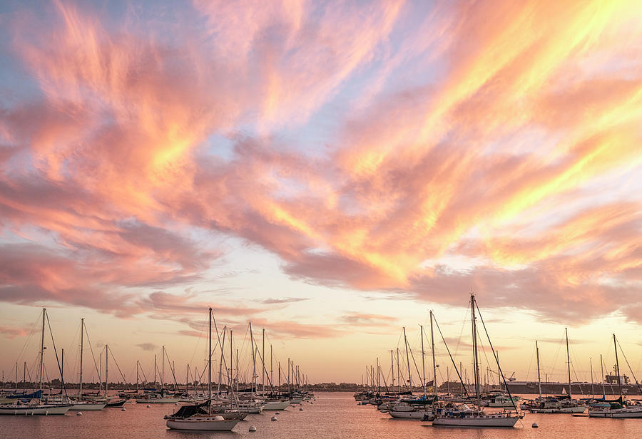 San Diego Harbor  - Fine Art Photos
This image and others available here - buff.ly/3OsIQYM
#ThisSummerFindArt #LoveArt #wallart #decor #uniquegifts #SanDiego #travephotography #sunsets