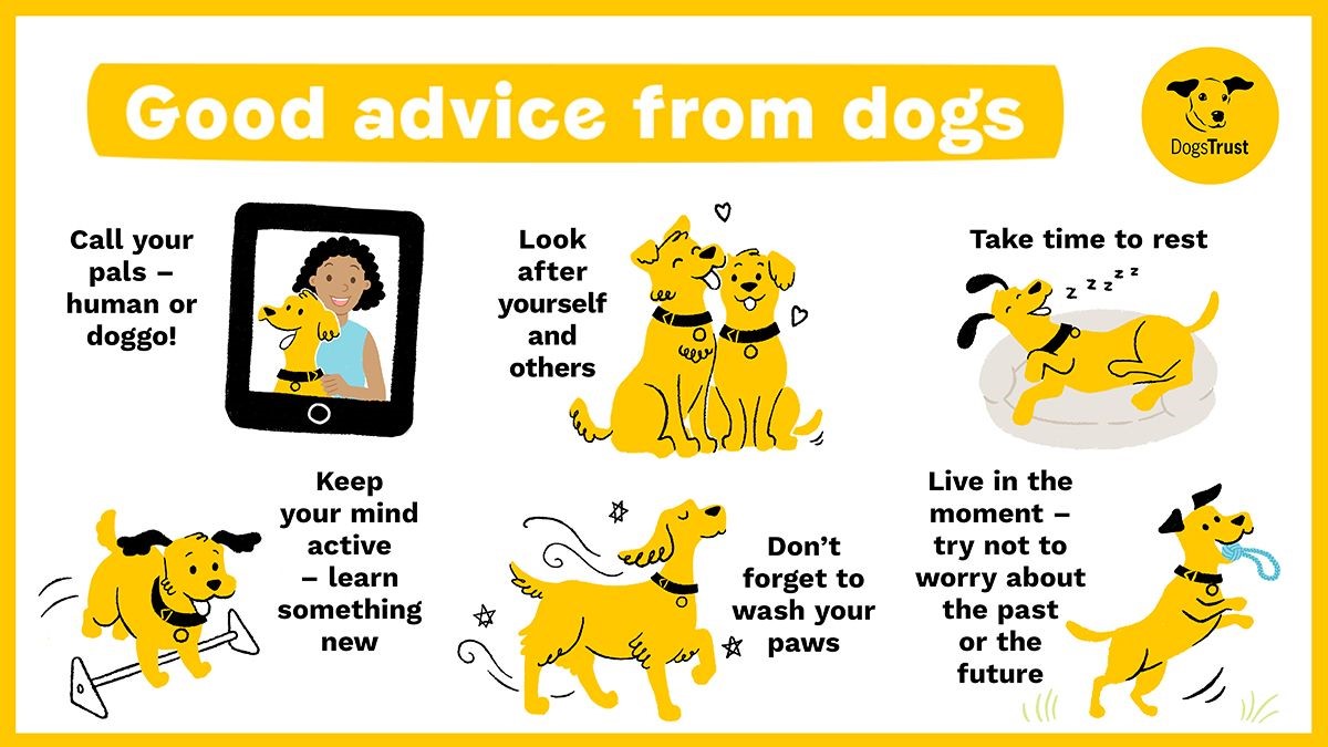 It's #WorldWellbeingWeek 💛

Here's some good advice from dogs. Give it a retweet for those who may need it. 🥰

Image description: Text reads 'Call your pals! Look after yourself and others. Take time to rest. Keep your mind active. Wash your paws. Live in the moment.'