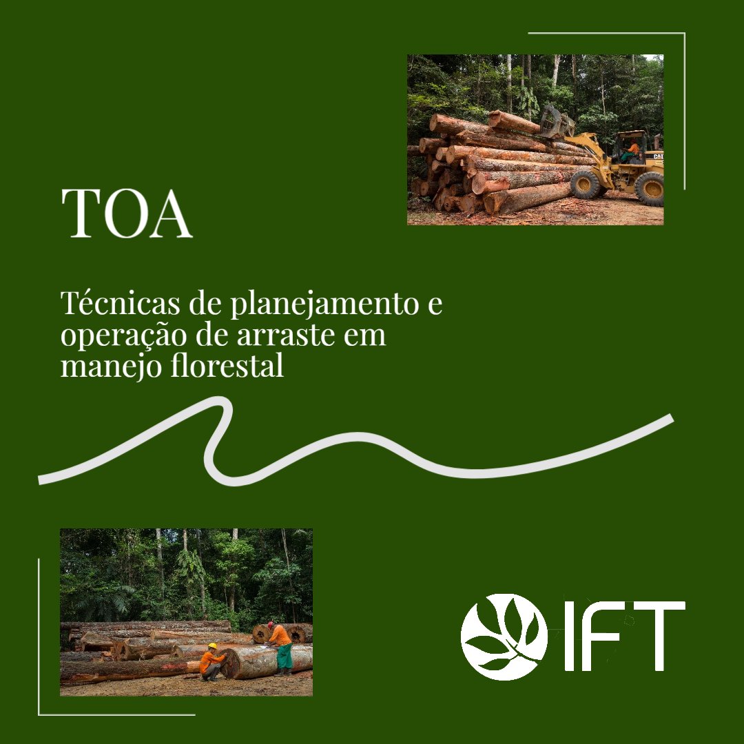 IFTAmazonia's tweet photo. em técnicas de manejo florestal. Além das 4 capacitações destacadas nas imagens, o instituto também dispõe de mais 8 cursos, que poderão ser ofertados a partir de demandas dos solicitantes. Acesse o nosso site  e acompanhe a lista completa dos cursos ofertados.  Link na bio https://t.co/f36PttDrHL