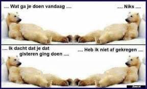 Edgar Donkervliet (@edonkervliet) on Twitter photo 