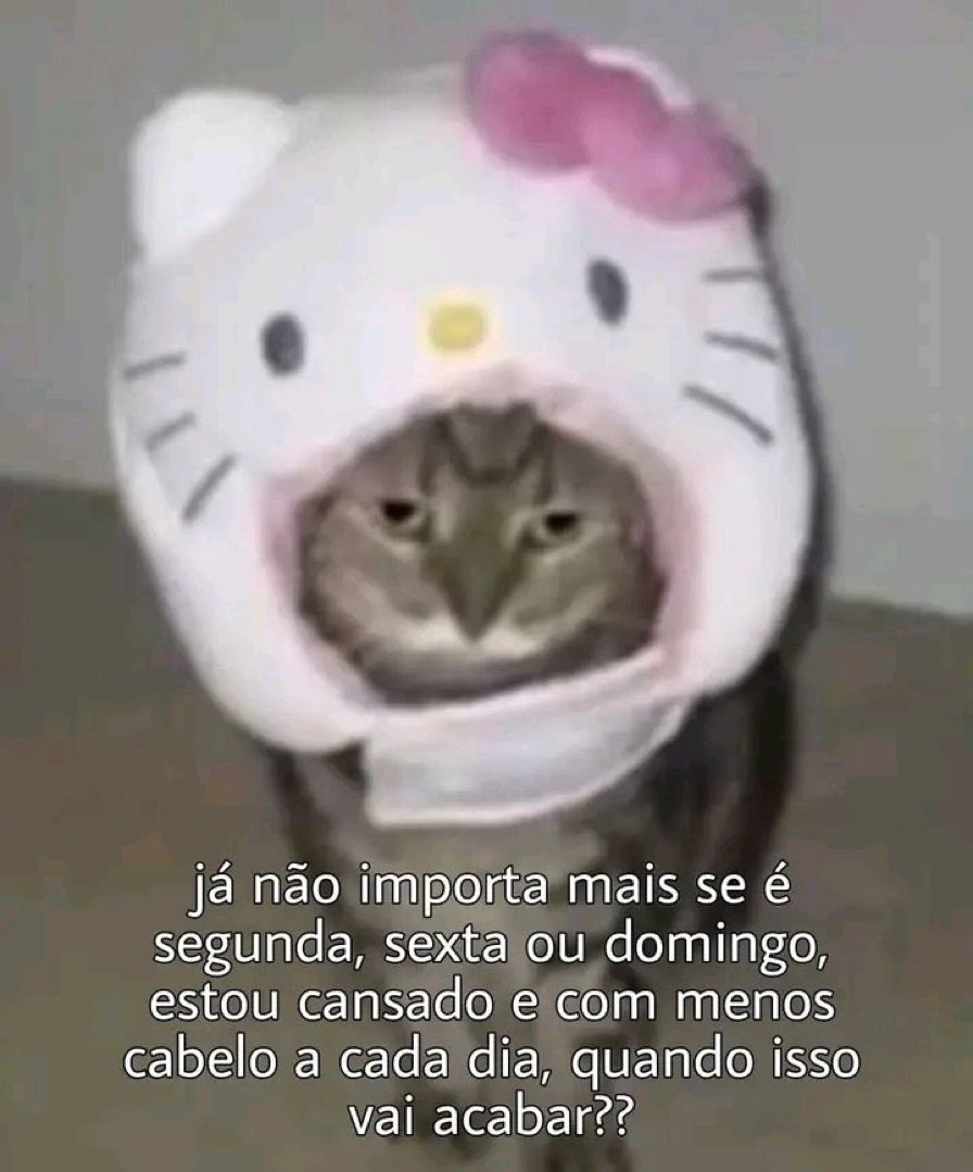 euovitinn's tweet photo. https://t.co/eJHNLqiX94