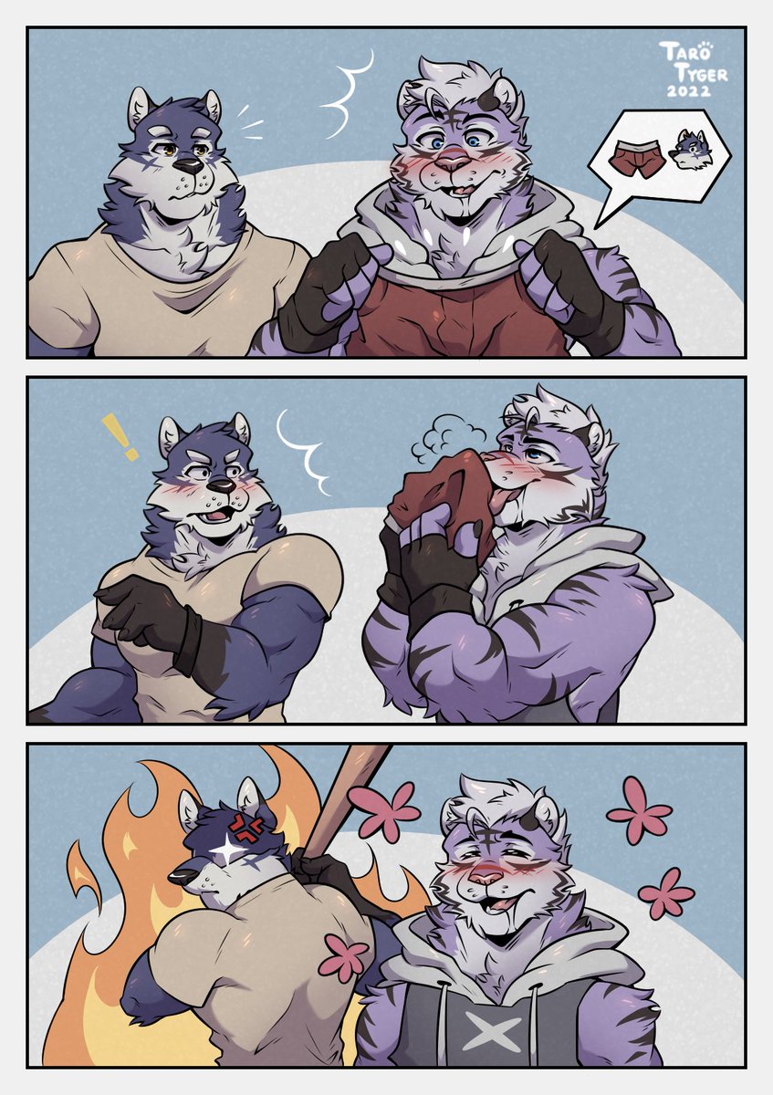 Sniffing issue 🩲✨