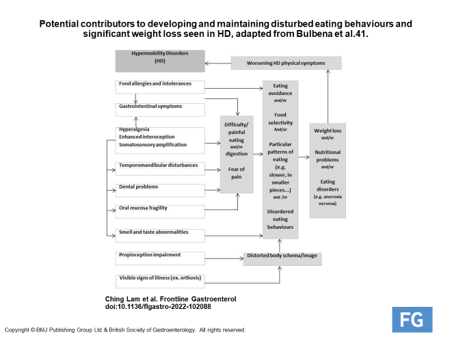 RMBeattie50's tweet photo. Important new paper in Frontline Gastroenterology 
Gastrointestinal symptoms and nutritional issues in patients with hypermobility disorders: assessment, diagnosis and management  
@RMBeattie50 @BAPENtrainees @BAPENUK @BritSocGastro @FrontGastro_BMJ  https://t.co/3UhuneBwL1 https://t.co/m45YTwbwwA